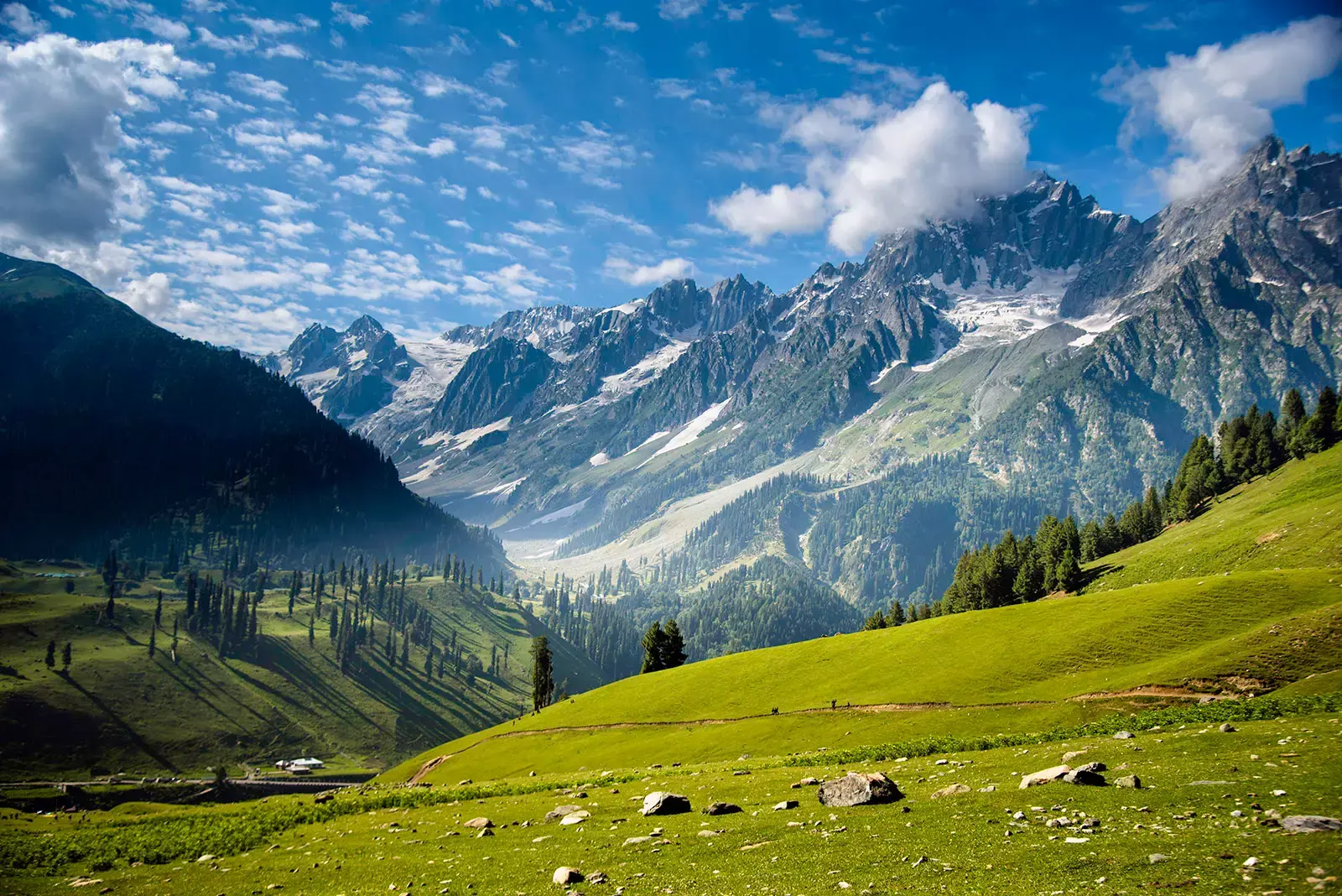 Vaishno Devi + Kashmir